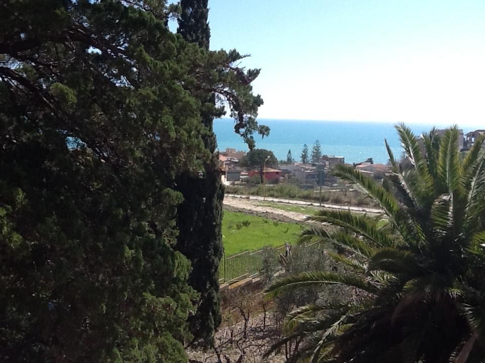 Casa Vacanze Palma Реальмонте Экстерьер фото
