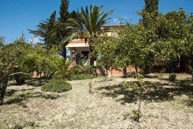 Casa Vacanze Palma Реальмонте Экстерьер фото